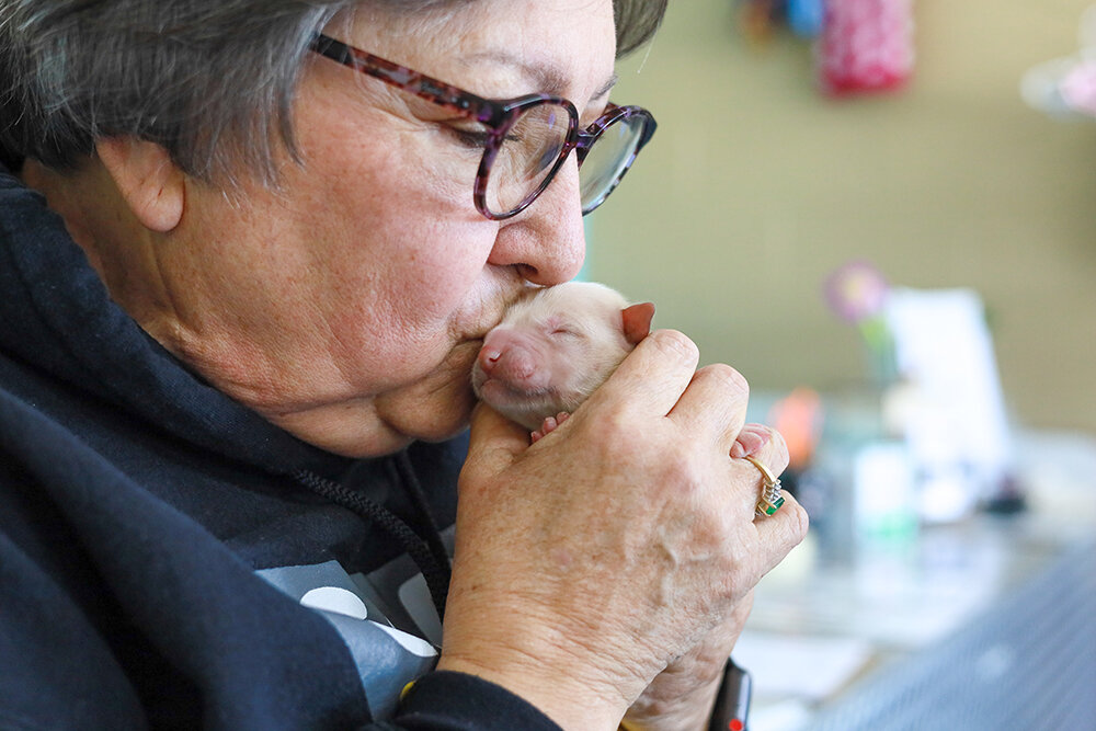 HELPING THE HELPLESS: CARE volunteer Marilyn Williams cuddles one of the youngest recipients of nonprofit services – a yet-unnamed 2-day-old retriever puppy.